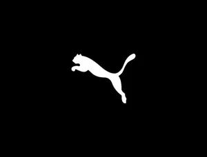 Brand 8