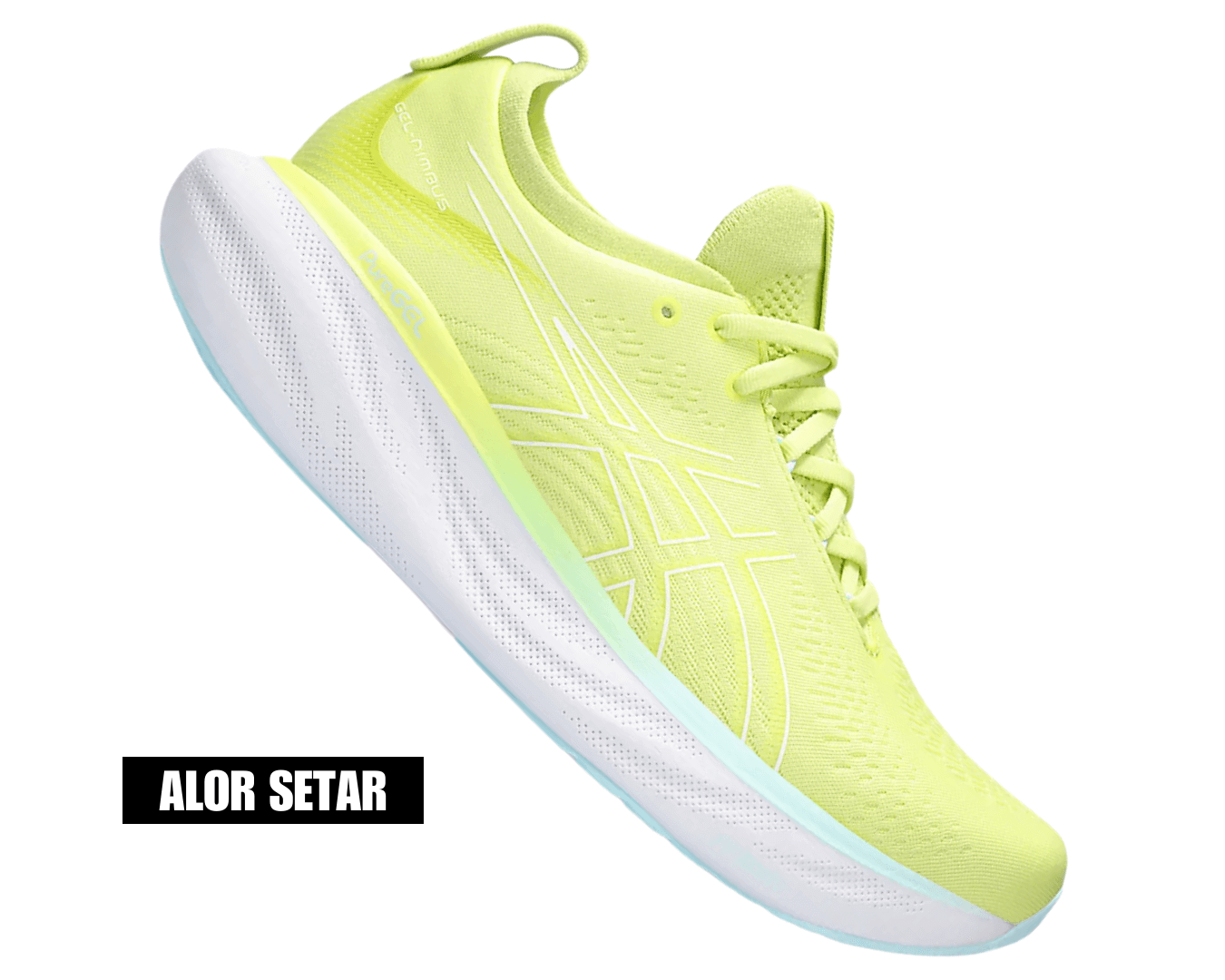 Asics Gel-Nimbus 25 – 7UK