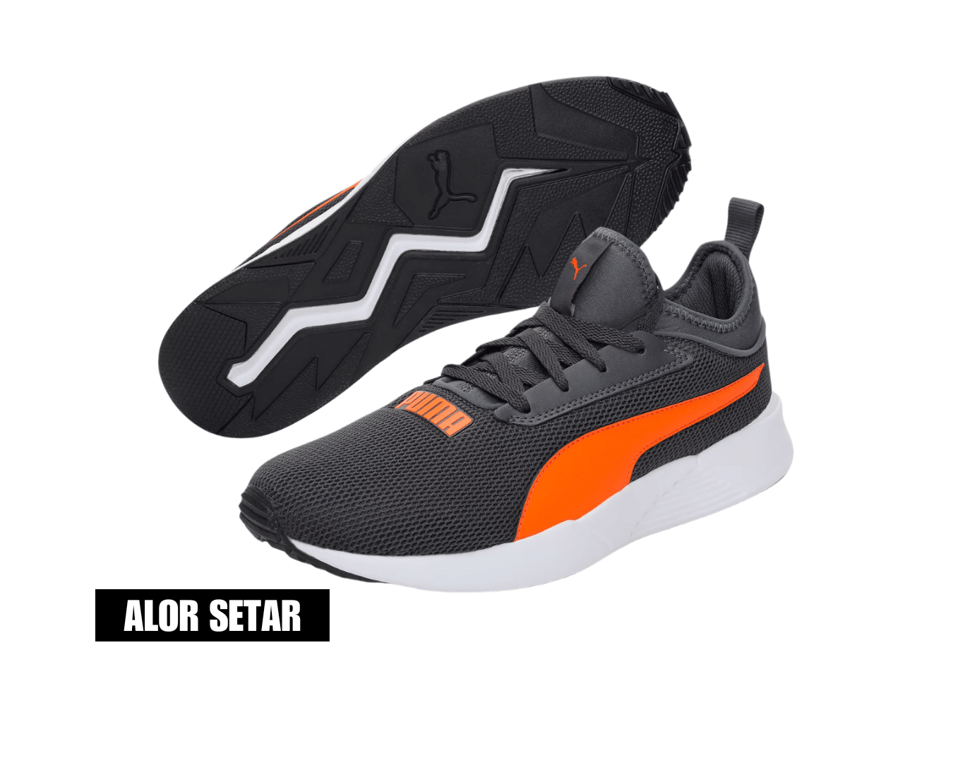 Puma Noah