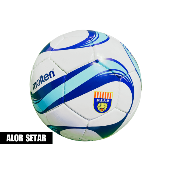 Molten F5F1700 MSSM Ball – Size 5