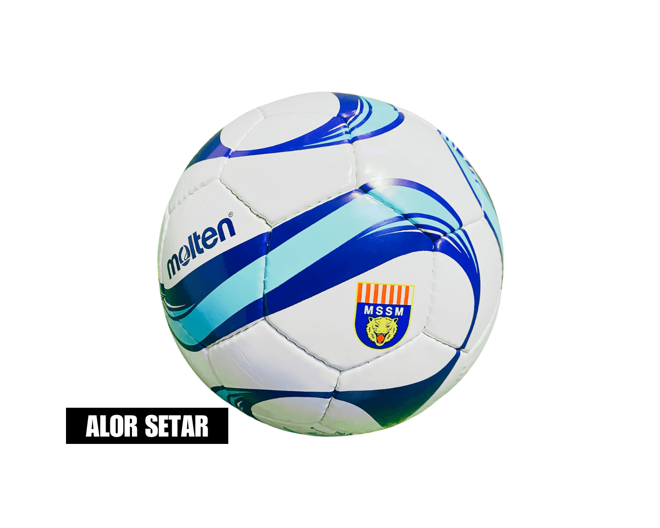 Molten F5F1700 MSSM Ball – Size 5