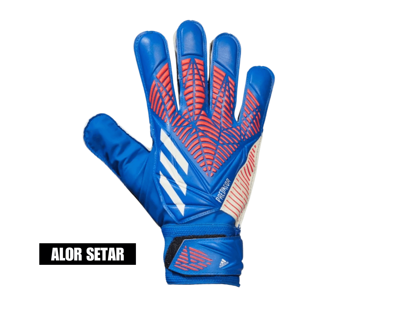 Adidas Predator Training Gloves – Size 10